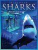 Discover sharks