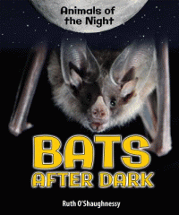 Bats after dark