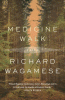 Medicine walk : a novel