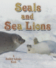 Seals and sea lions