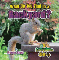 What do you find in a backyard?