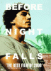 Before night falls