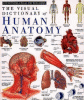 The visual dictionary of human anatomy.