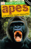 Apes and other hairy primates