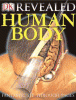 Human body revealed