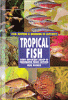 Tropical fish