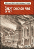 The great Chicago fire of 1871