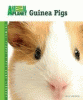 Guinea pigs