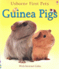 Guinea pigs