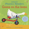 Goose on the loose