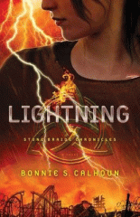 Lightning : a novel