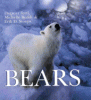 Bears