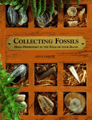 Collecting fossils : hold prehistory in the palm of your hand