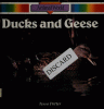 Ducks and geese
