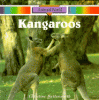 Kangaroos