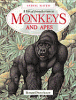 A visual introduction to monkeys and apes