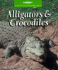 Alligators & crocodiles
