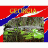 Georgia
