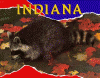 Indiana
