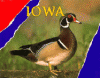 Iowa