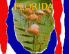 Florida