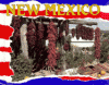 New Mexico