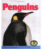 Penguins