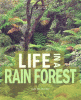 Life in a rain forest