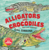 Alligators and crocodiles