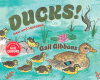 Ducks!