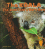 The koala : the bear that's not a bear