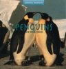 Penguins and their homes