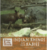 Indian rhinos and their babies