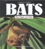 Bats : bat magic for kids