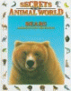 Bears : animals that hibernate