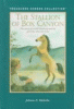 The stallion of Box Canyon
