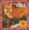 The wonder of foxes