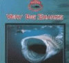 Very big sharks
