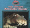 The world's strangest sharks