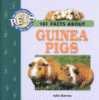101 facts about guinea pigs