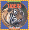 Tigers