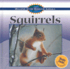 Squirrels