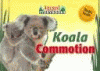 Koala commotion