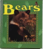 Bears