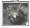 Wolves