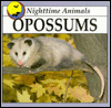 Opossums