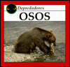 Osos
