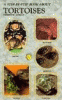 A step-by-step book about tortoises
