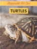 Turtles