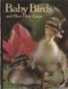 Baby birds and how they grow